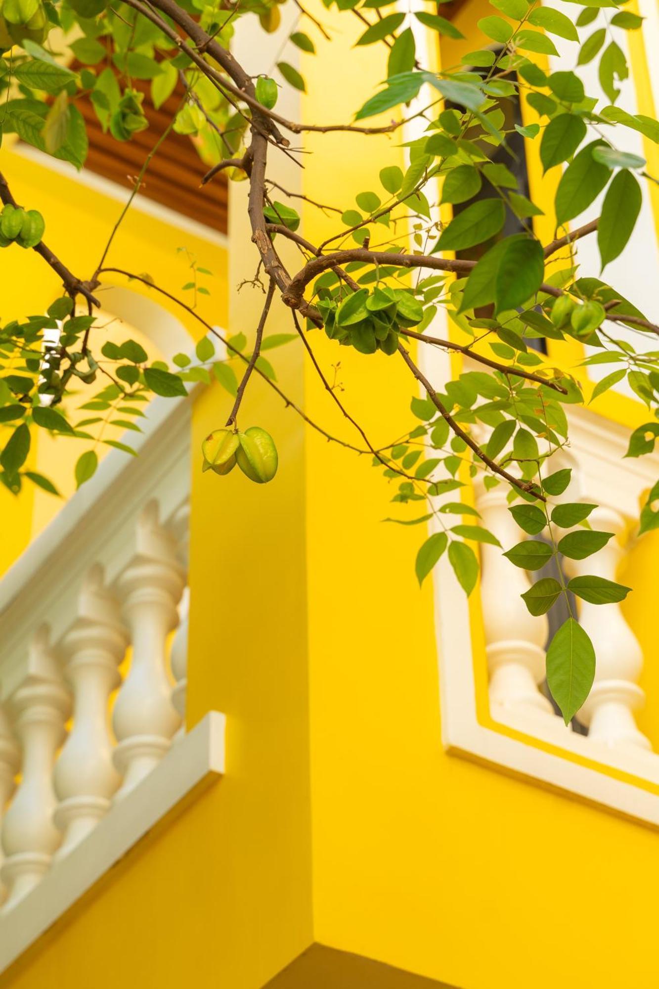 Quyen'S House Homestay Хойан Экстерьер фото